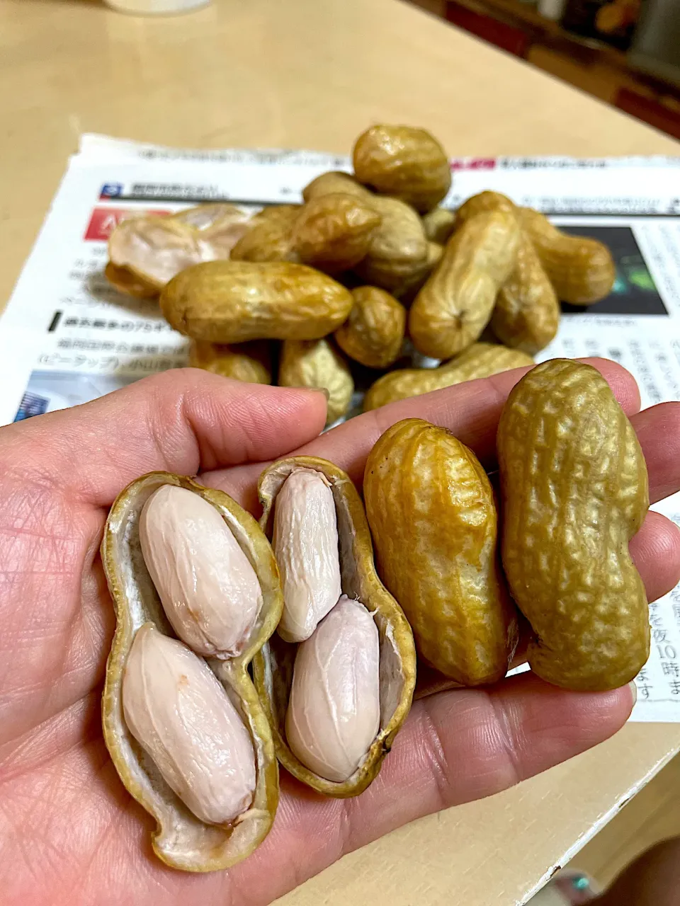 おおまさり
生落花生の塩茹で🥜|🌿ぴぴさん