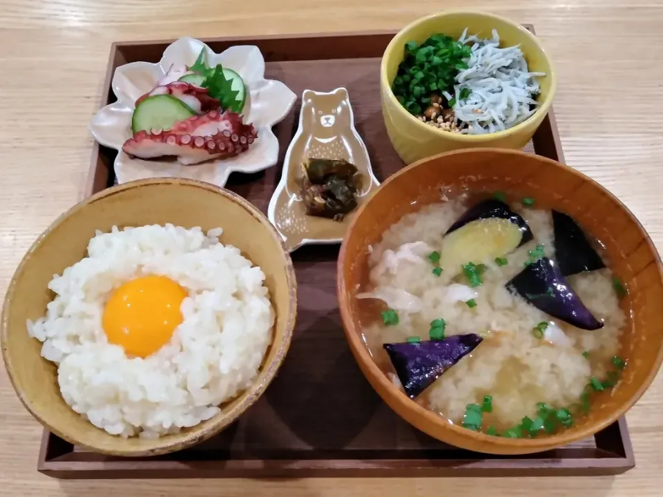 たまごかけご飯|ひんひさん