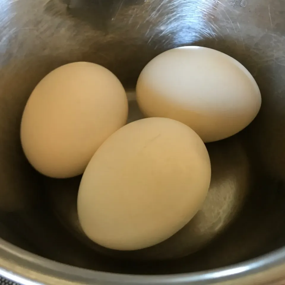 ゆで卵|sanaeさん