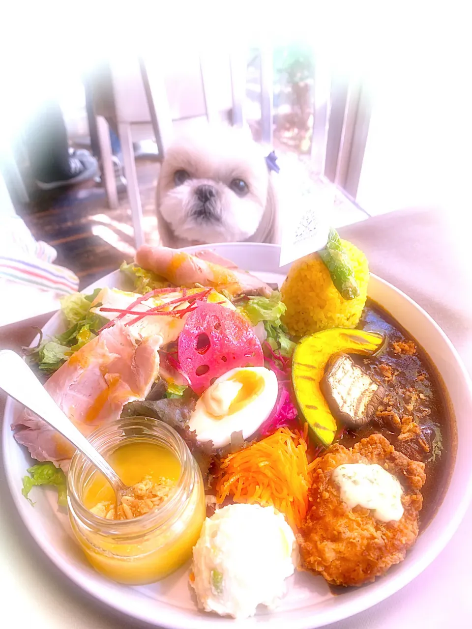 マザームーンカフェさんでランチ|プクママさん