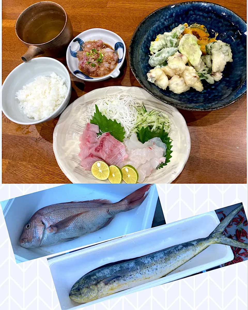 友人釣果 晩ご飯　初日　🐟|sakuramochiさん