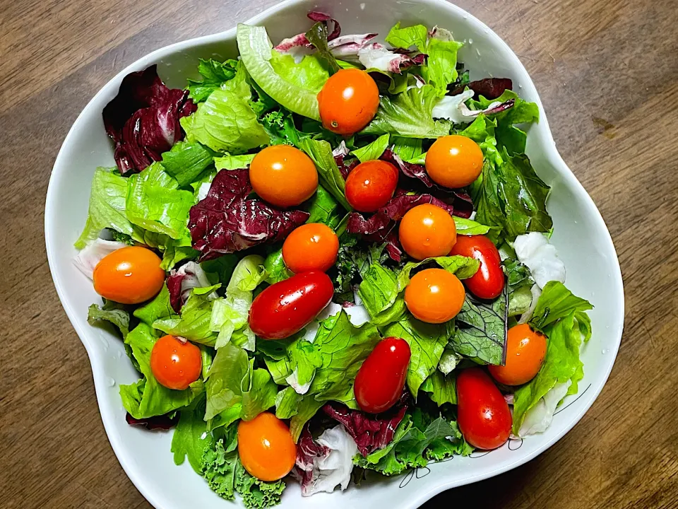 全て自家製野菜のフレッシュパワーサラダ🥗|ひだまり農園さん