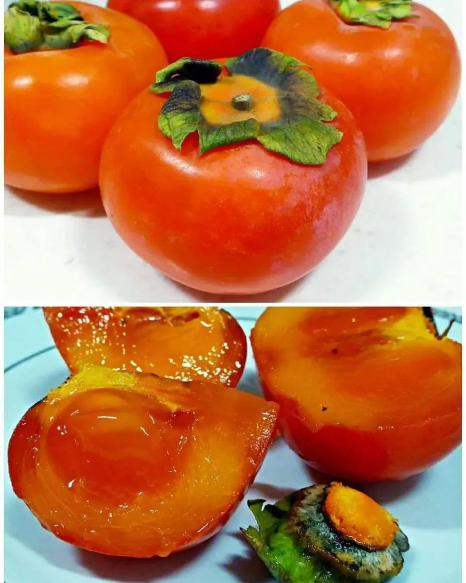 Autumn Flavors - Persimmon|steven z.y.さん