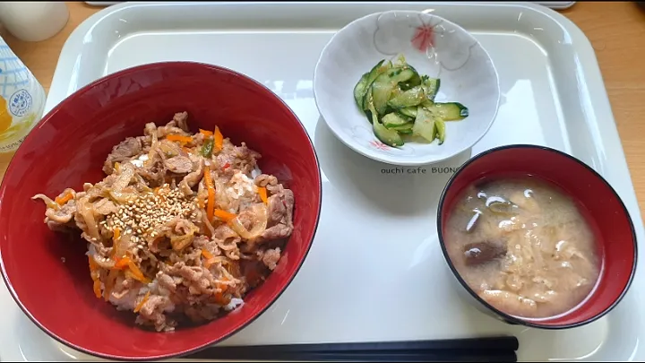 火曜日の昼食|昼食さん