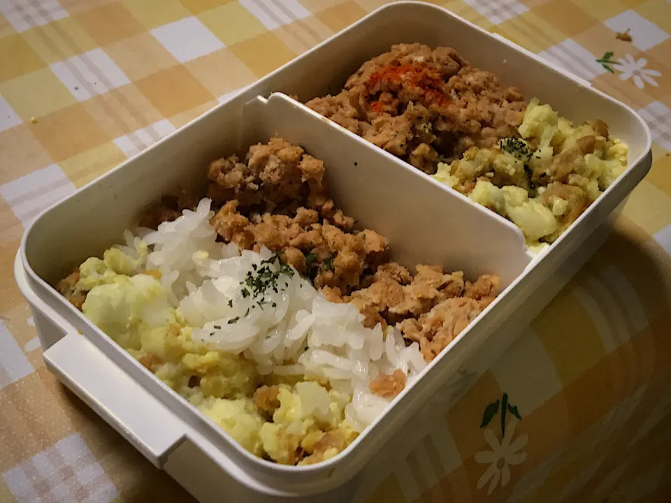 Snapdishの料理写真:ヘルシーヴィーガン弁当|ユキさん