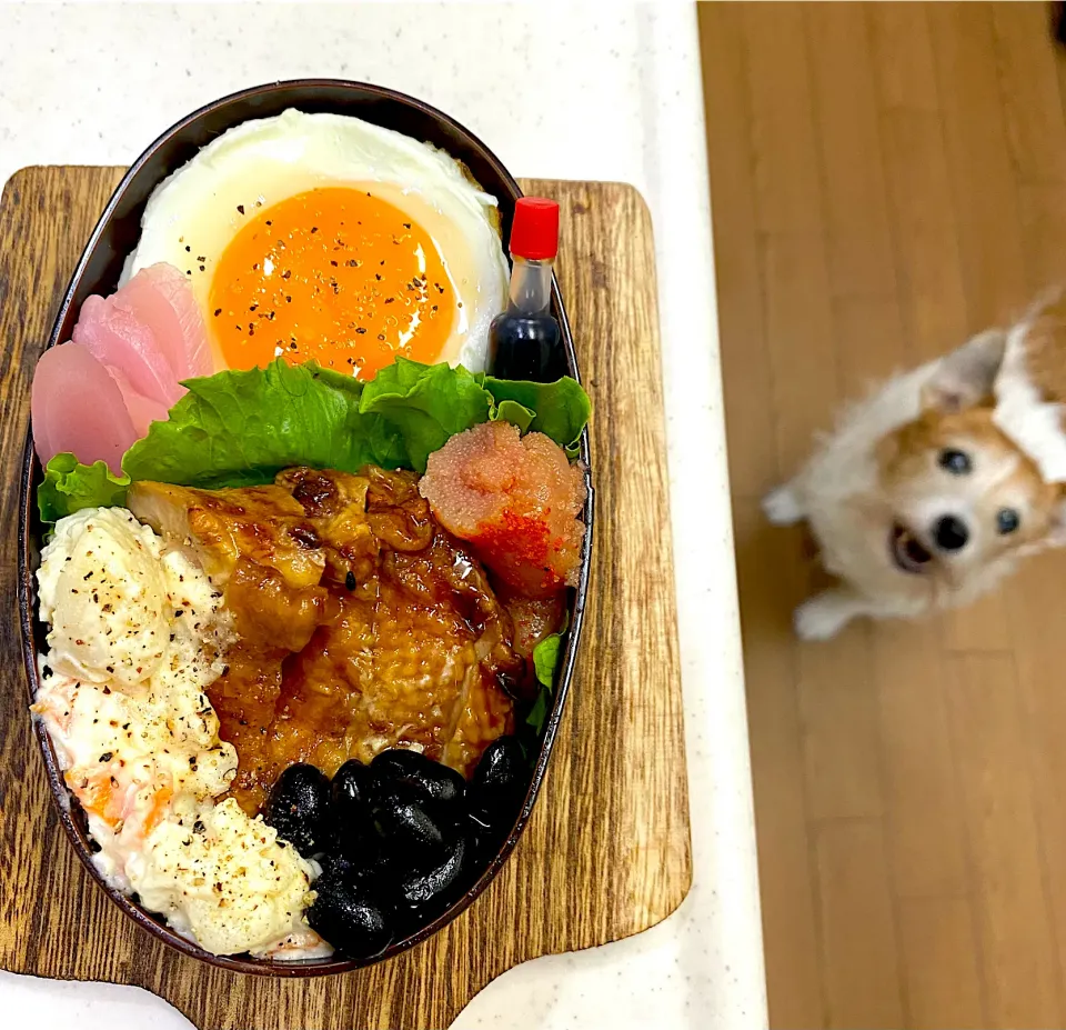 Snapdishの料理写真:鶏の照り焼き弁当|cafe3733さん