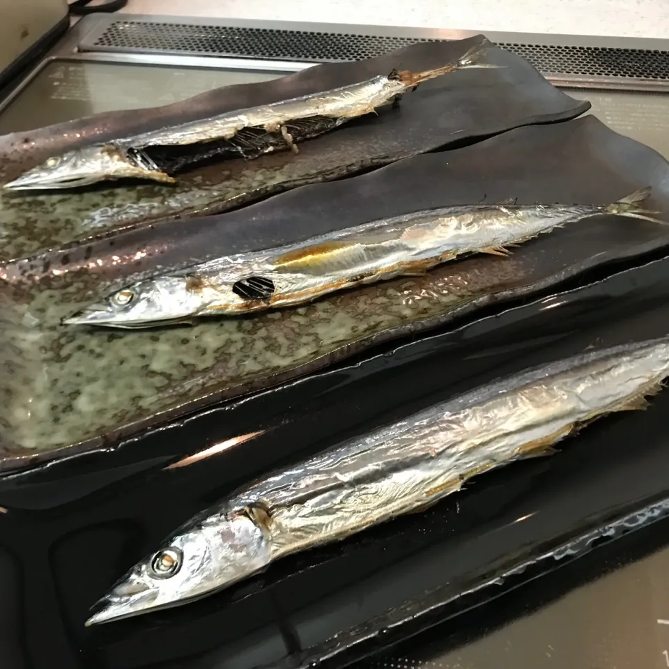 サンマ|sanaeさん