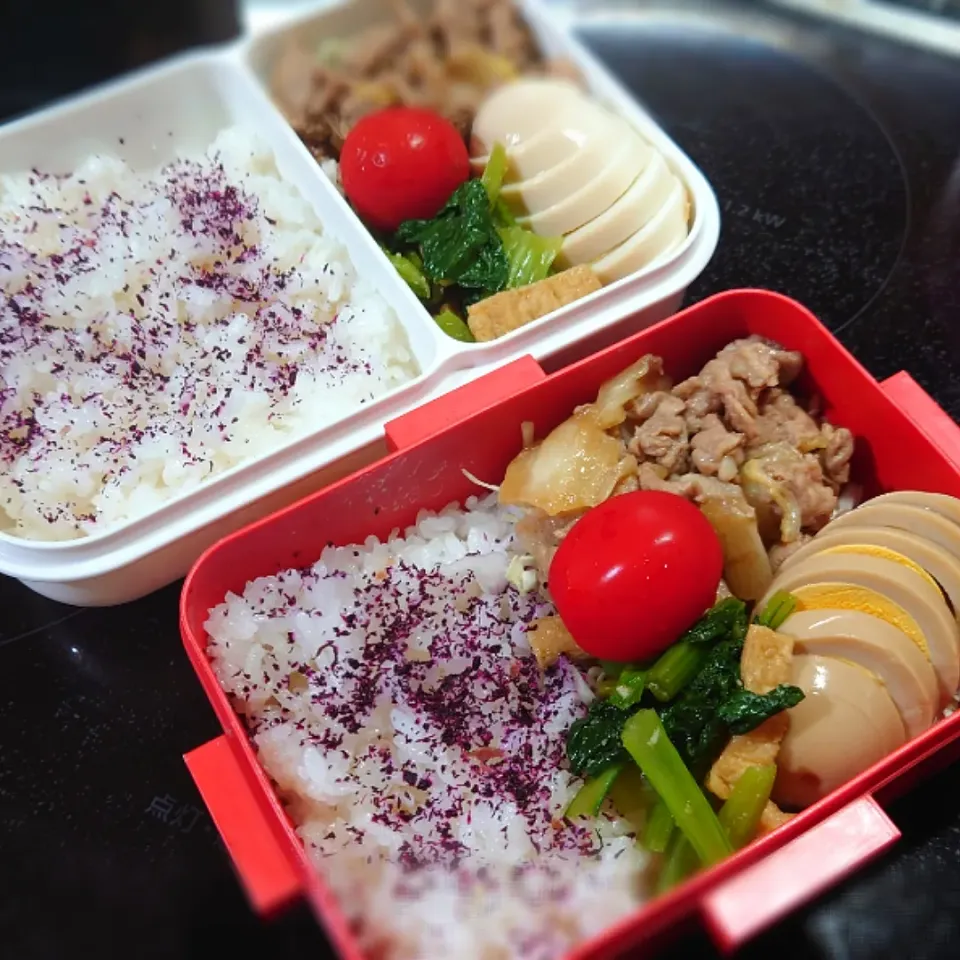 Snapdishの料理写真:今日の二人弁当|yumihahaさん