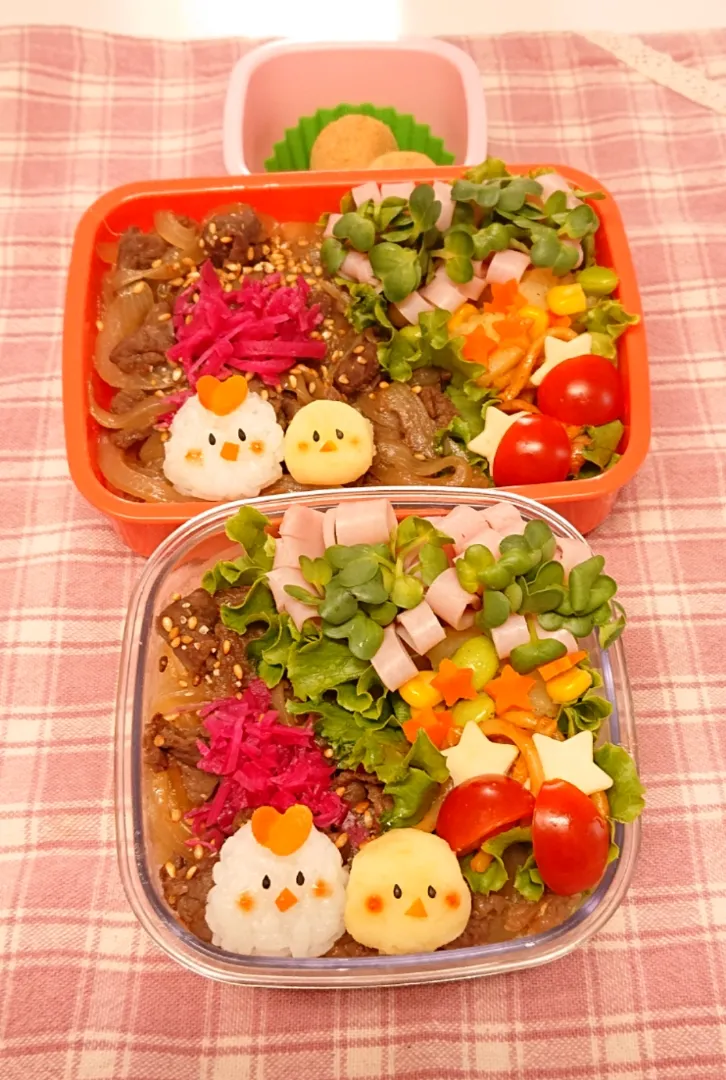 トリさん親子の牛丼弁当❤️|みちゅあしさん