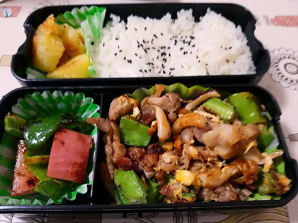 お弁当|shinさん