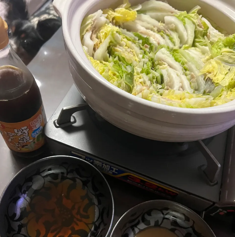 ミルフィーユ鍋❤️野菜ポン酢で😋|noeさん