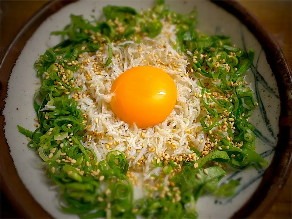 釜揚げしらす丼|名状しがたいゴミムシのようなものさん