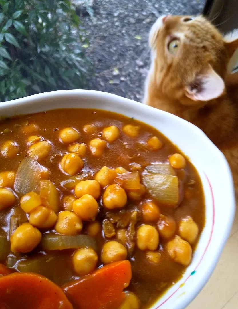 Snapdishの料理写真:雨やんでよかったね〰️🐈️
お昼ごはんはひよこ豆カレー🍛|さくらんぼさん