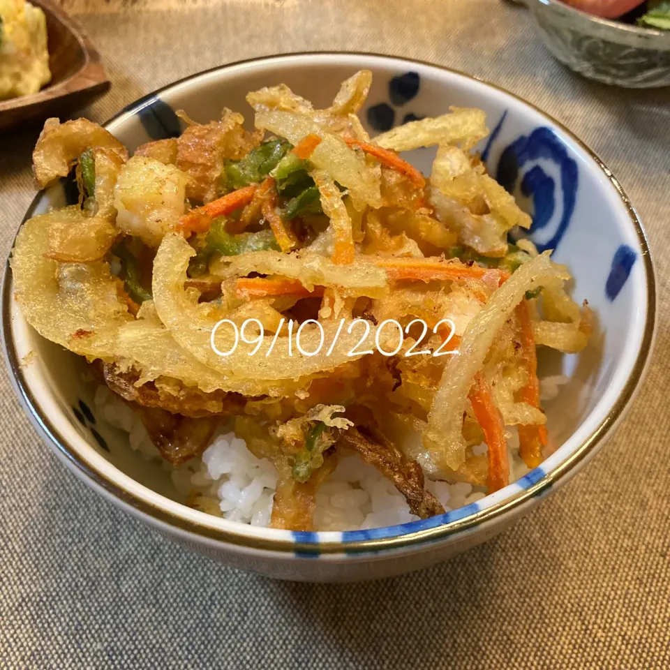 Snapdishの料理写真:かき揚げ丼|友さん