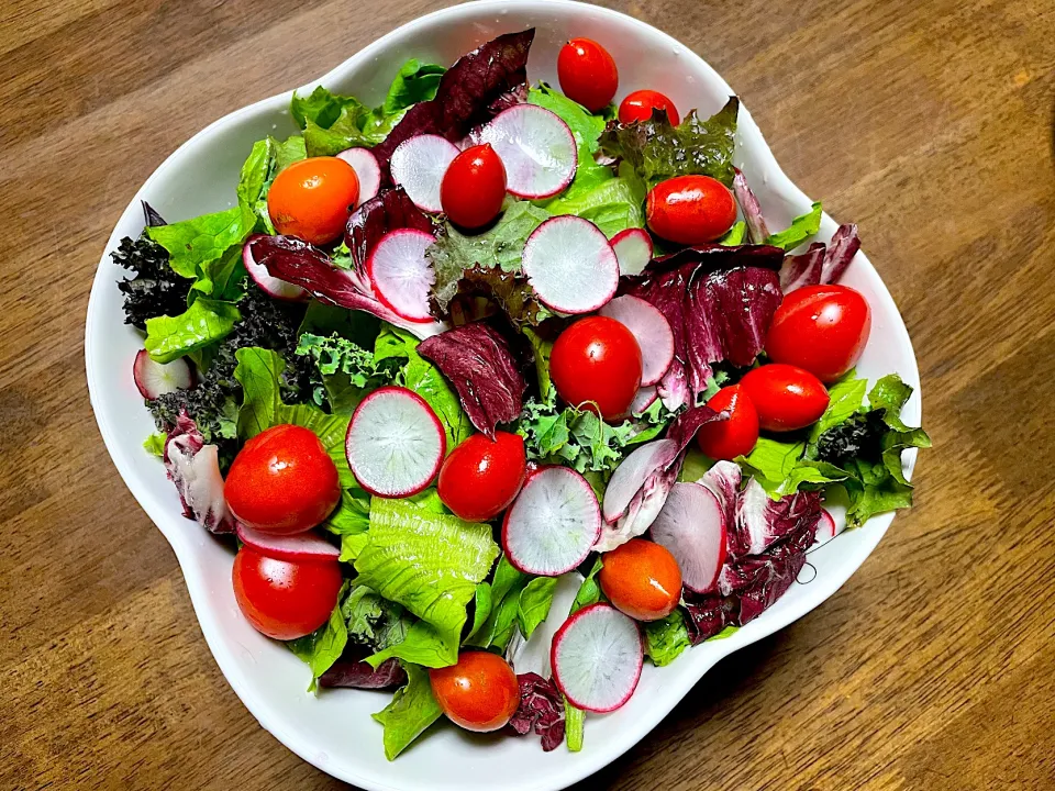 自家製野菜のフレッシュサラダ🥗|ひだまり農園さん