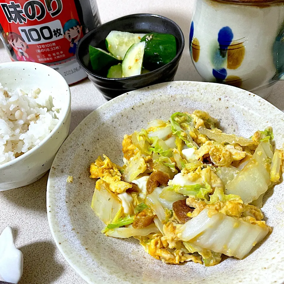 Snapdishの料理写真:221009晩ごはん|mioさん