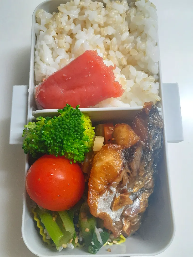 ☆中学生弁当☆玄米入りごはんonたらこ、蓮金平、鯖唐揚げ、小松菜ナムル、ブロッコリー、ミニトマト|ｼｮｺﾗさん