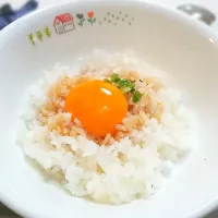 卵ご飯|ここさたさん