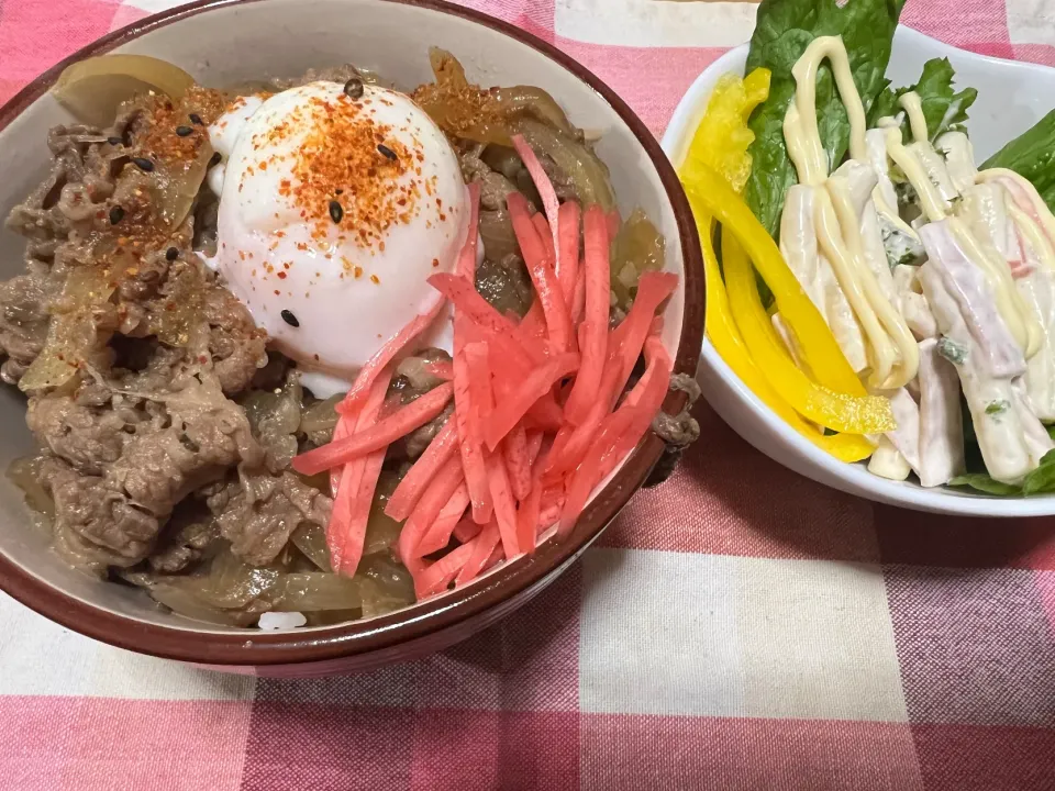 牛丼サラダセット|ハルのただ飯さん