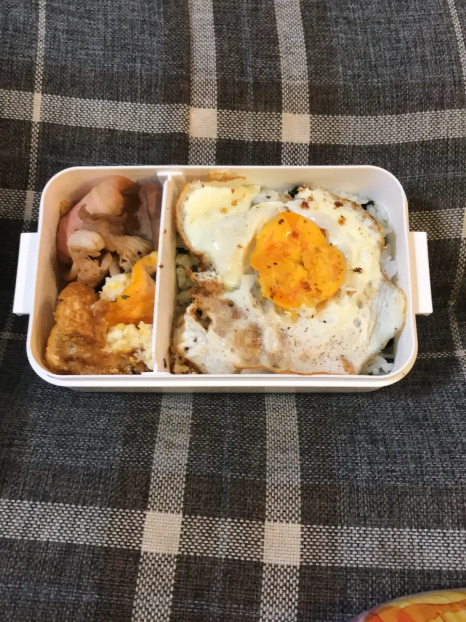 タンパク質たっぷり弁当|ユキさん