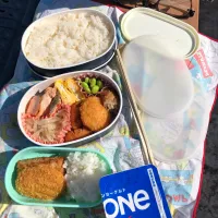 Snapdishの料理写真:代打のお弁当🍱|しろくまさん