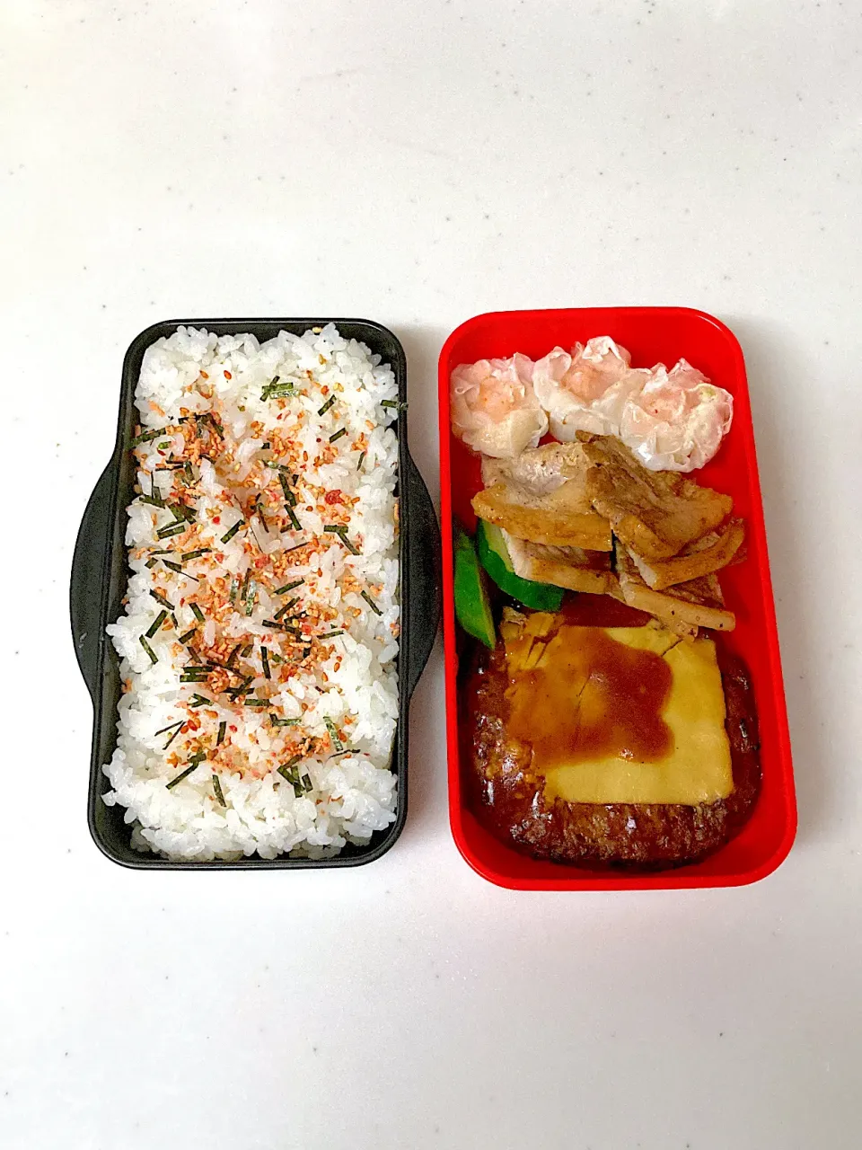 Snapdishの料理写真:高校生になった次男くんへ　ハンバーグ&生姜焼き弁当|晴れ時々弁当さん