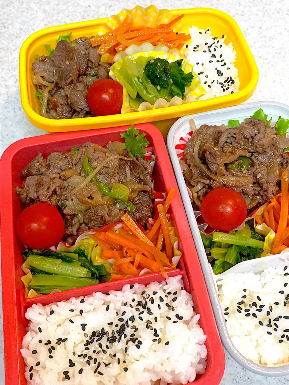 Snapdishの料理写真:プルコギ　弁当|asumamaさん