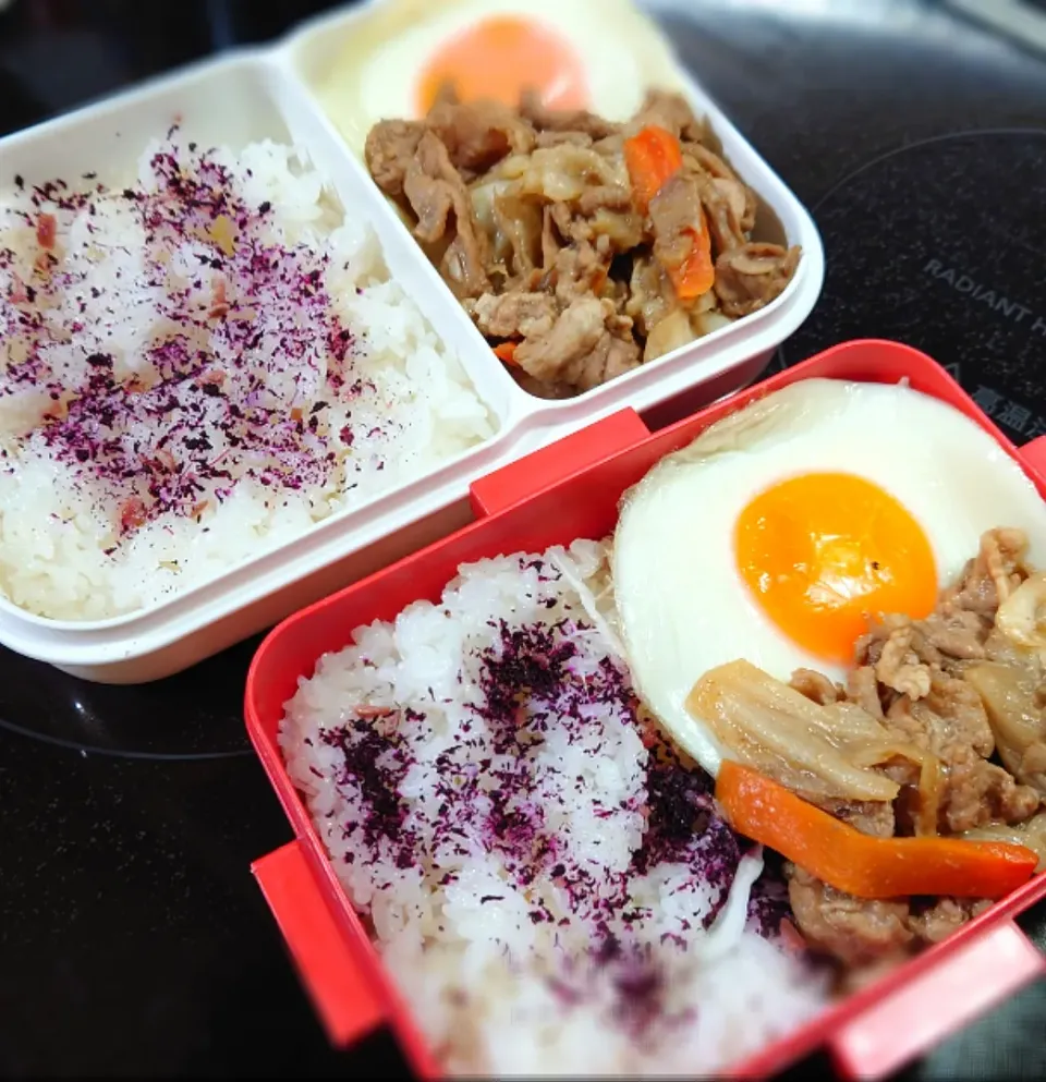 今日の二人弁当|yumihahaさん