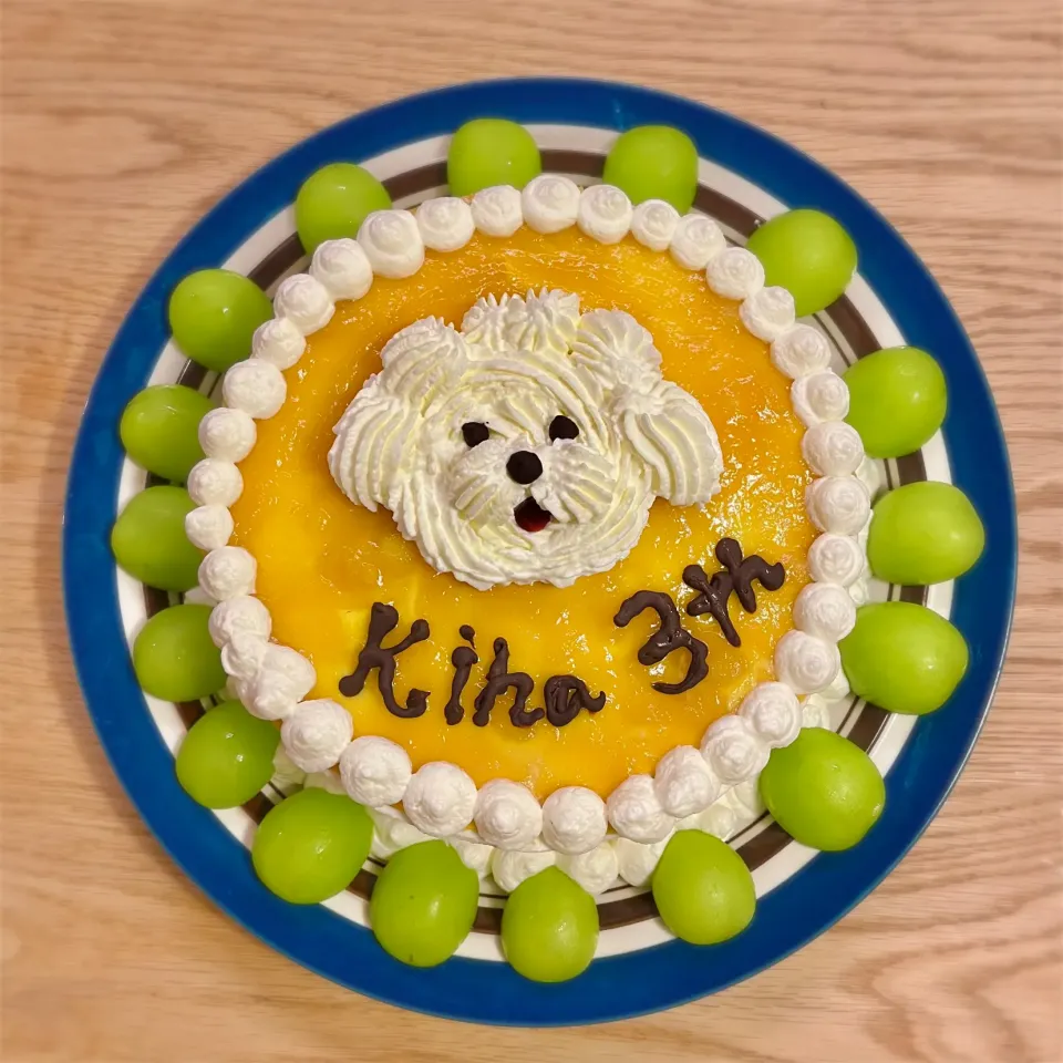 生クリームでプードル🐶マンゴーとマスカットのバースデーケーキ🎂|わたげさん