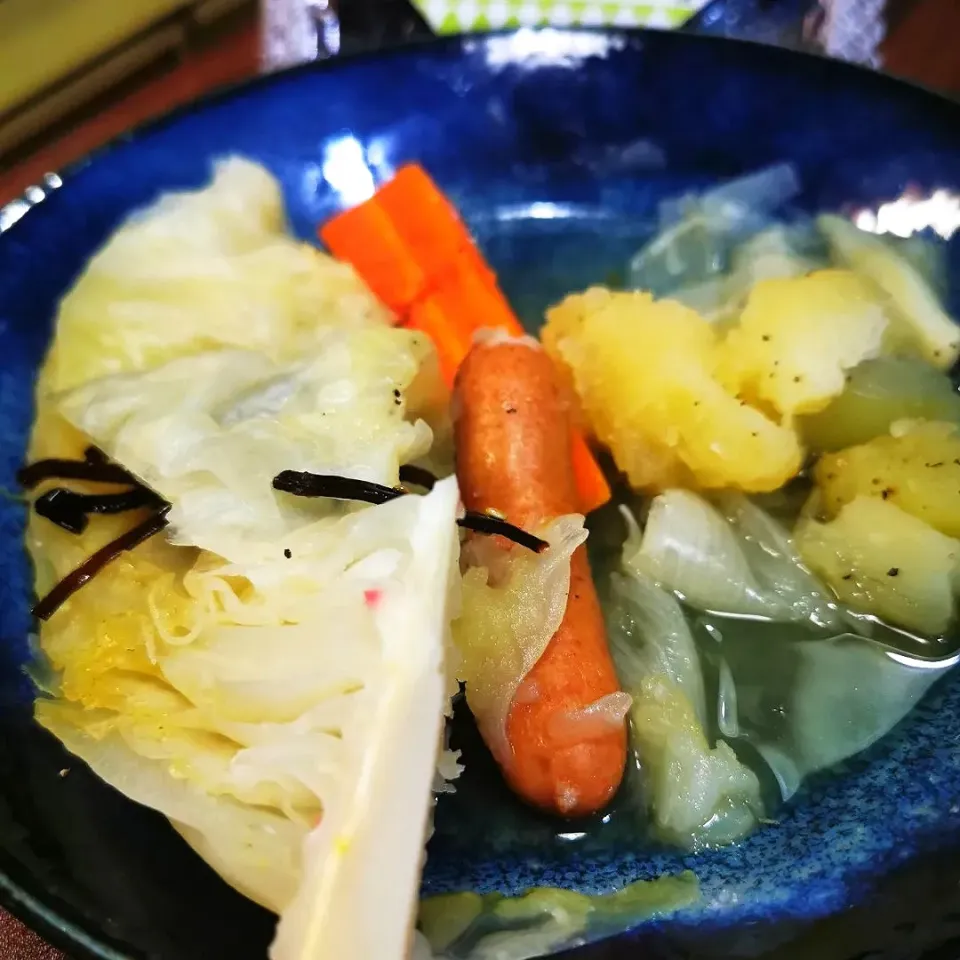 ペンギンさんの料理 野菜たっぷりポトフ👌グ〜です😺ゃあ😀|ペンギンさん