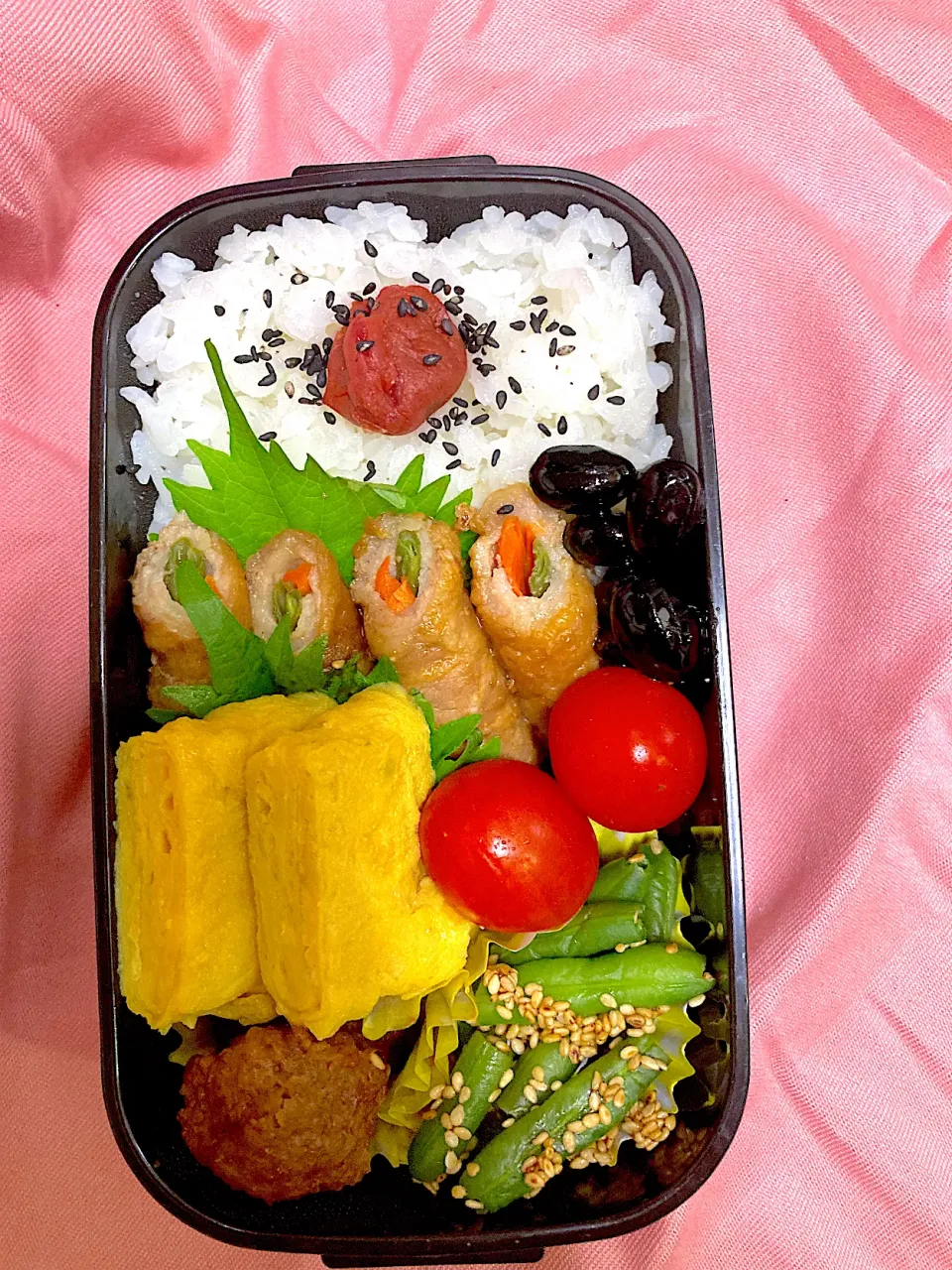 Snapdishの料理写真:今日のお弁当。作り置いていたものばかり。卵焼きとインゲンだけ朝作りました。|ナタママさん