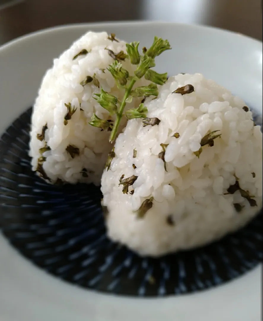  紫蘇の実の塩漬けでおにぎり|とだともさん