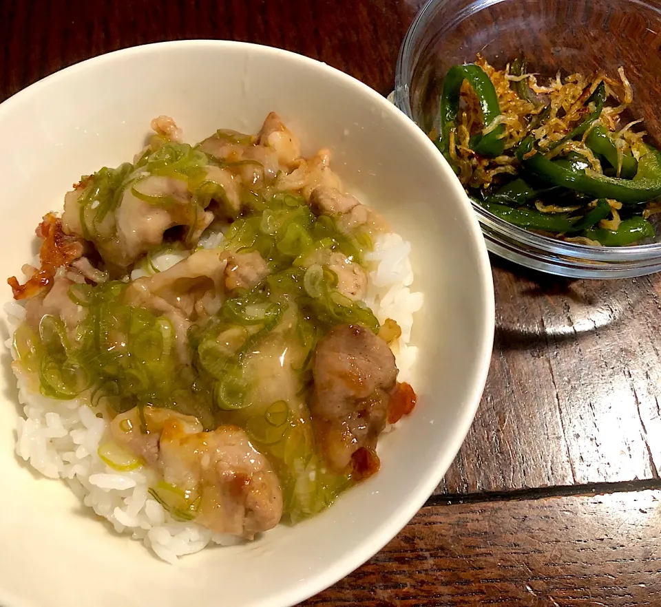 塩ダレ豚丼、ピーマンとじゃこの炒め物|もちこさん