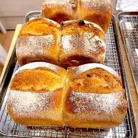 Snapdishの料理写真:Weizenbrot ヴァイツェンブロート（ドイツの食パン）焼きました。|ocapieさん