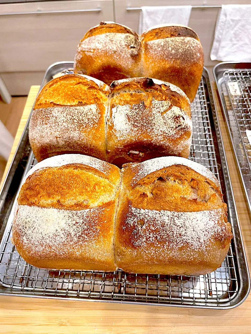 Snapdishの料理写真:Weizenbrot ヴァイツェンブロート（ドイツの食パン）焼きました。|ocapieさん