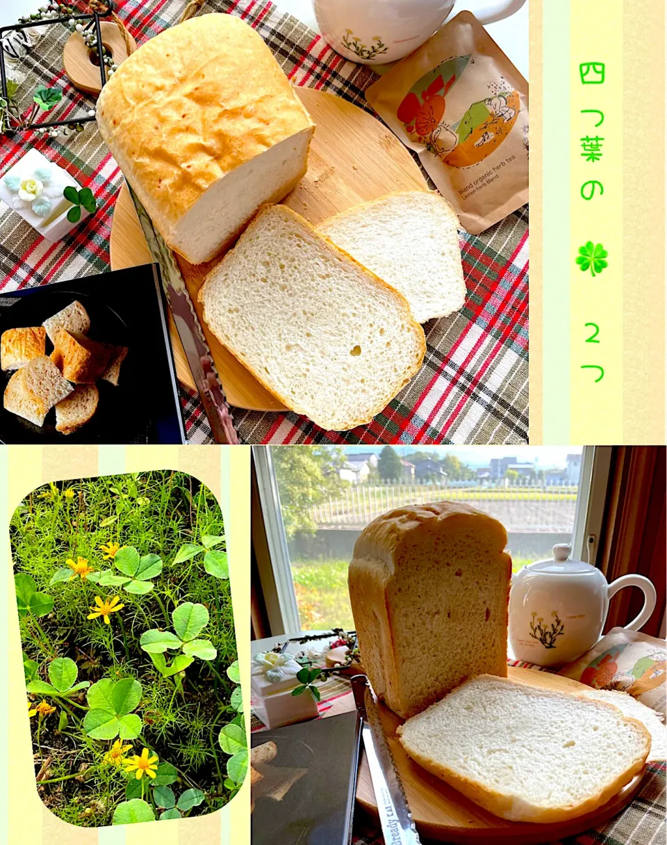 久々にパン焼き🍞チーズリッチ食パン🧀|サミカさん