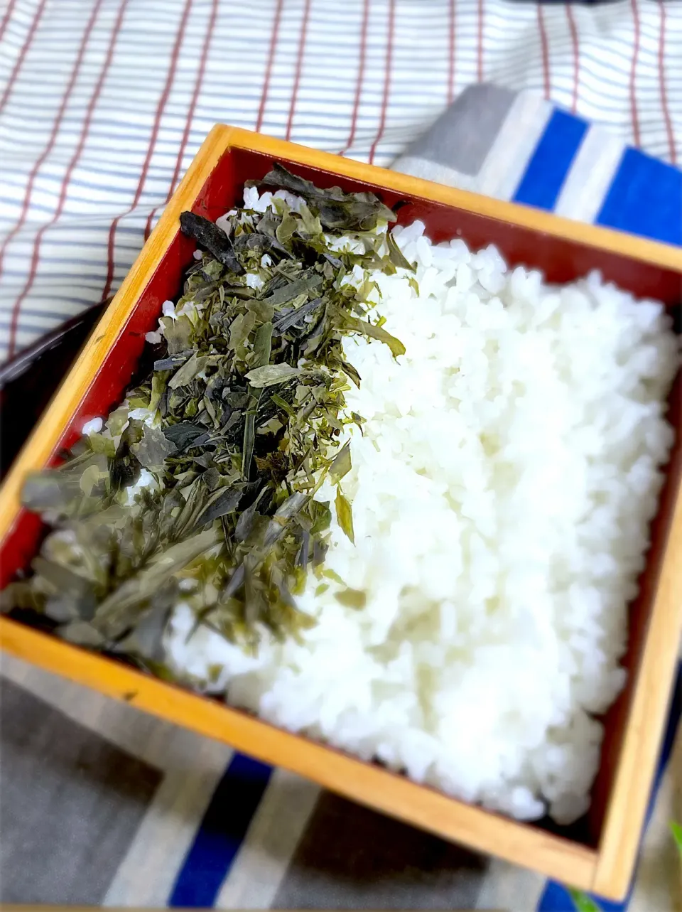 ワカメご飯|藤田 まり子さん