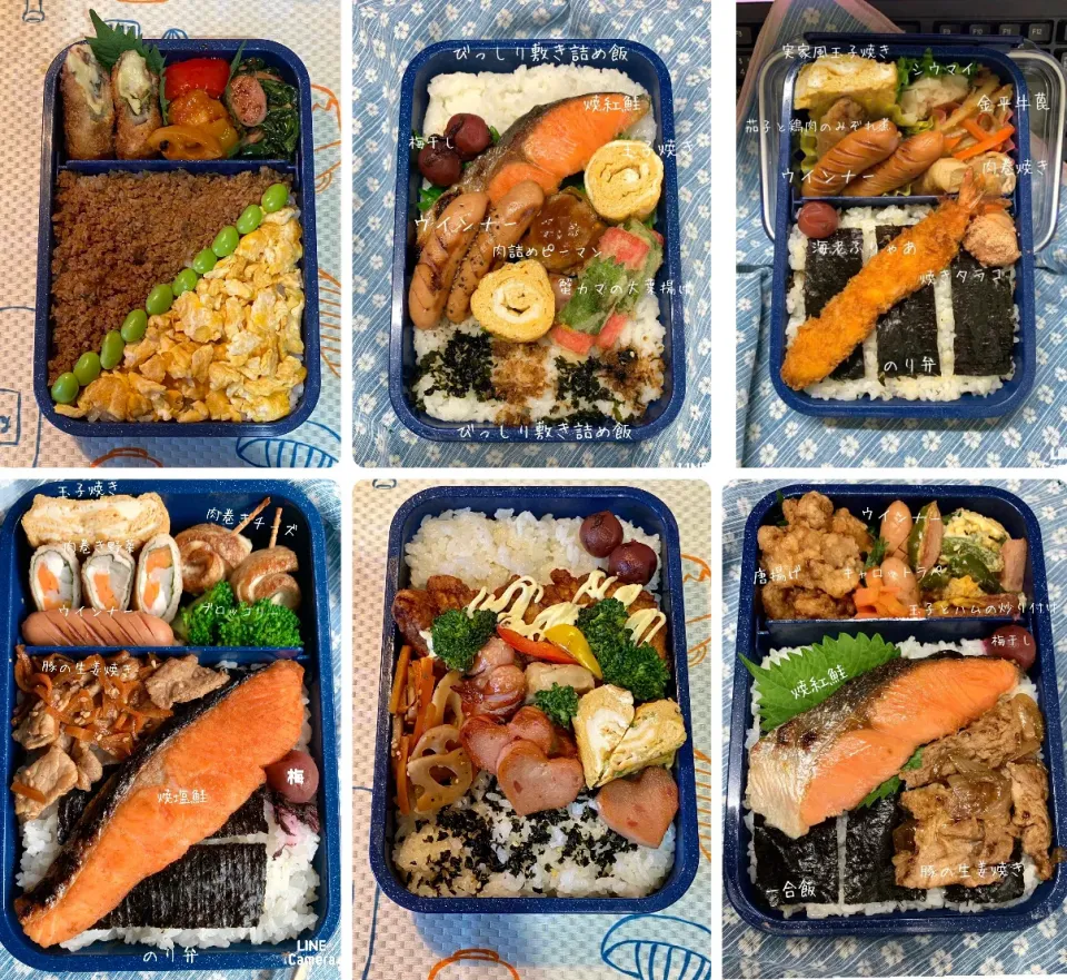 🍱日々是好弁当😋|🎩尾道のピロスケさん😊さん