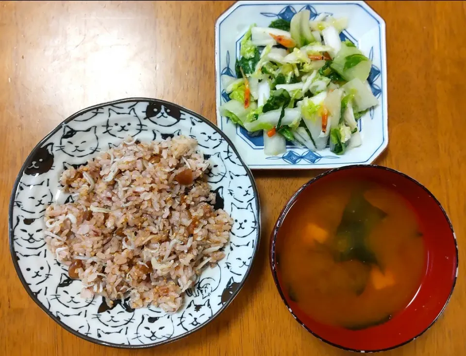 Snapdishの料理写真:2022 1011　梅しらす炒飯　白菜と桜エビのさっぱりサラダ　豆腐とわかめのお味噌汁|いもこ。さん