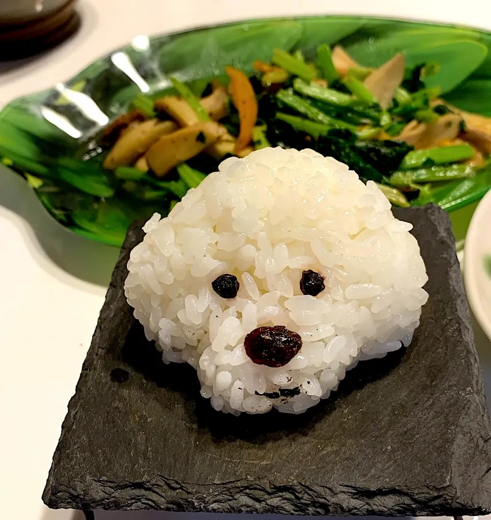 プードルおにぎりでおにぎりアクション🍙|みっこちゃんさん