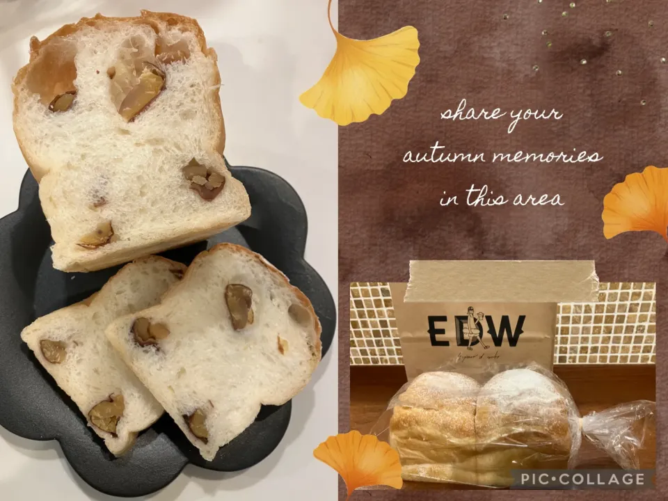 EDW🌰栗食パン🍞|きみちさん