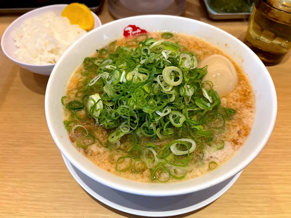 九条ねぎ味玉ラーメン　麺硬め油多め辛味多め|マハロ菊池さん