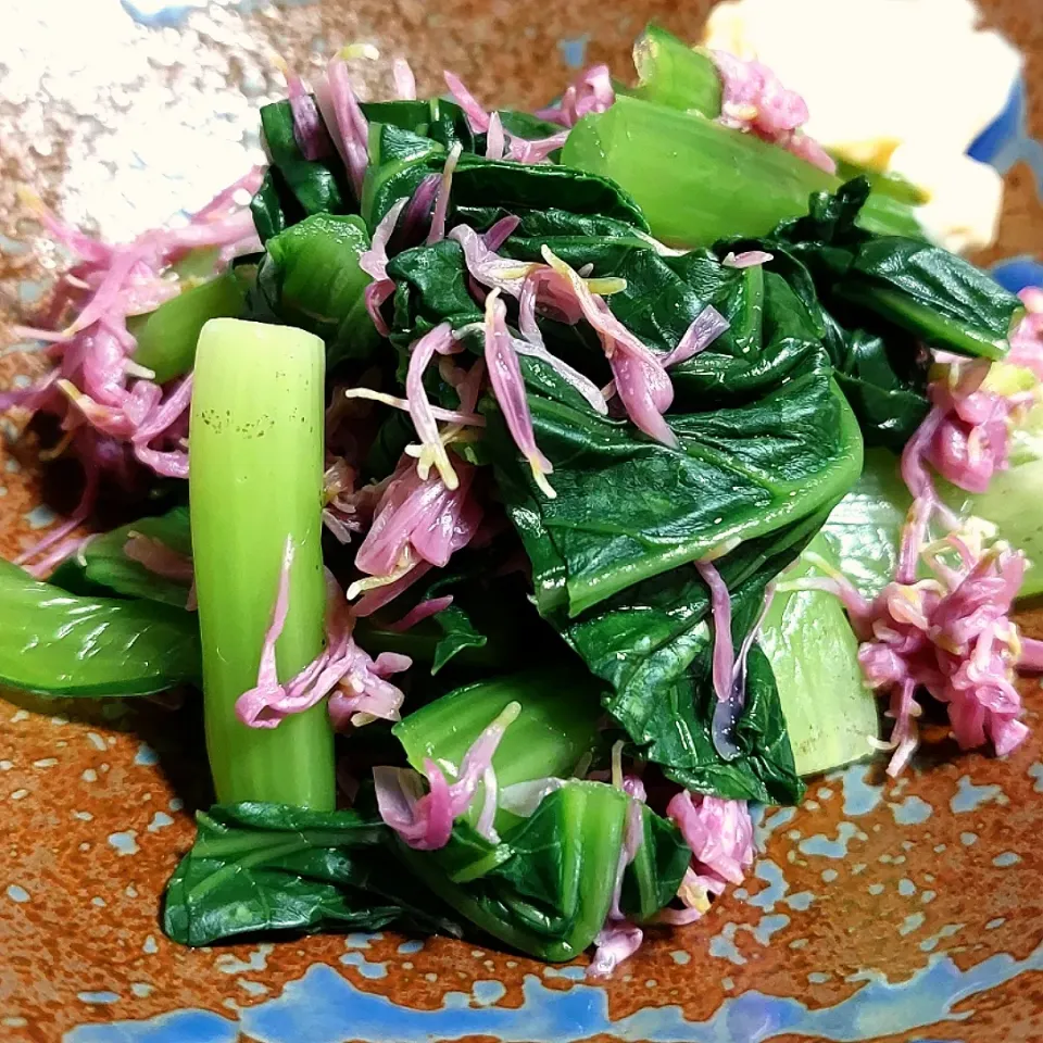 Snapdishの料理写真:ゆずあんずさんの料理 菊と小松菜のおひたし！|きつねさん