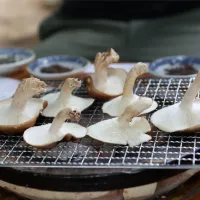 しいたけ焼き|つかぺーさん