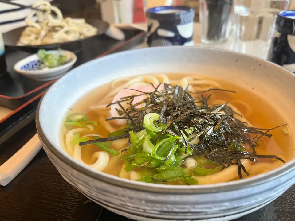 Snapdishの料理写真:かけうどん！€11（ 1,615円 ）|女神さん