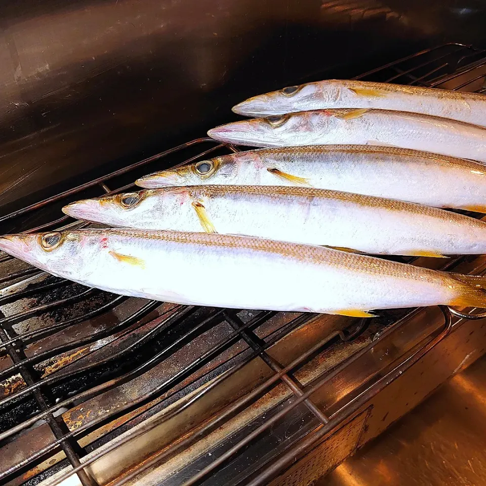 アカカマスを焼いちゃうよー|かぁさん