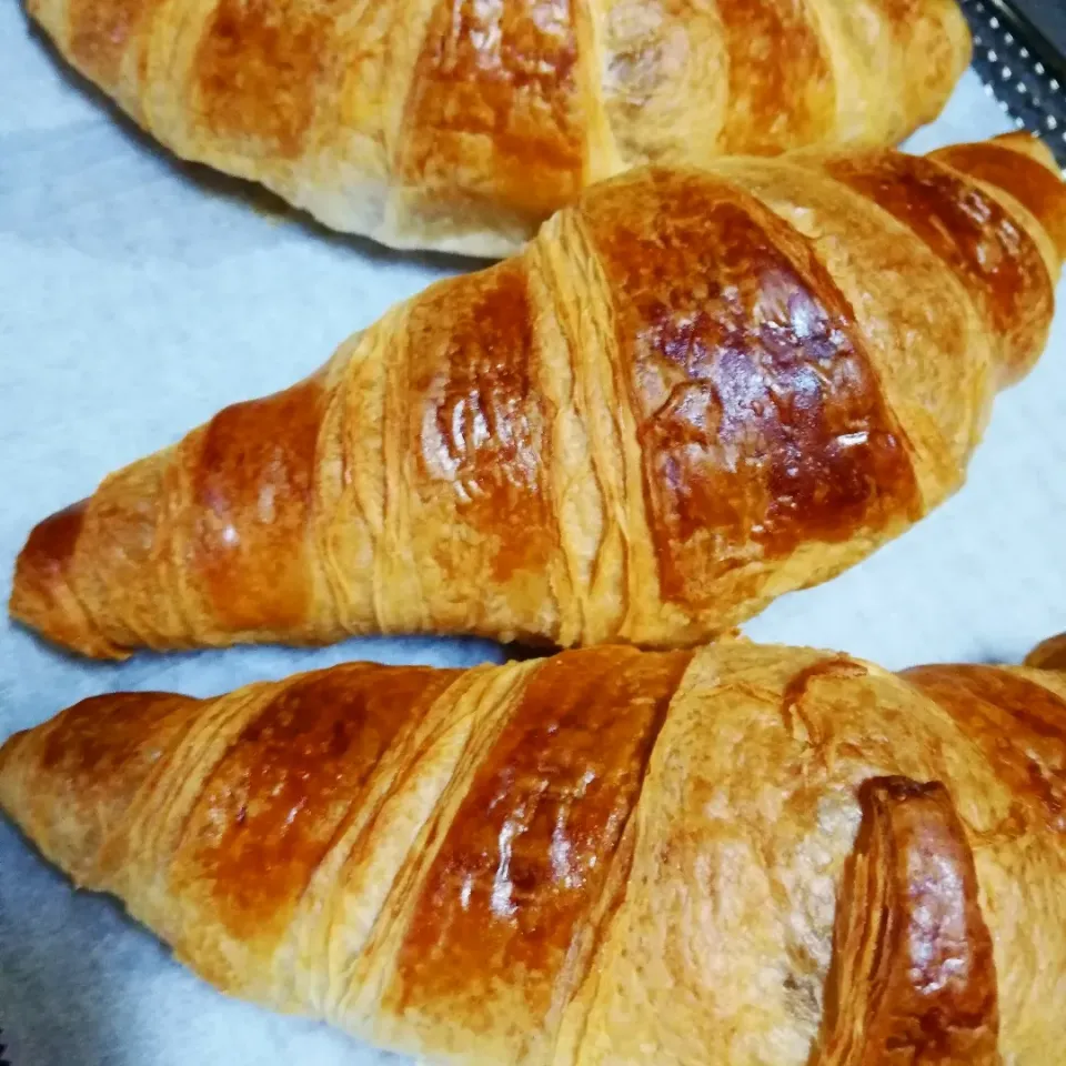 焼くだけ冷凍クロワッサン🥐(10/22)|海猫さん