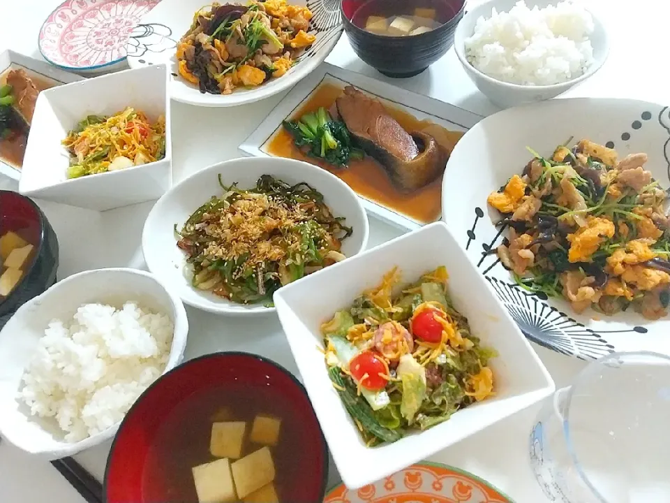 夕食(*^^*)
豚肉と豆苗と卵甘辛炒め
銀ダラ煮
ピーマンとちくわのおかか炒め
サラダ🥗
とろろ昆布と豆腐汁|プリン☆さん