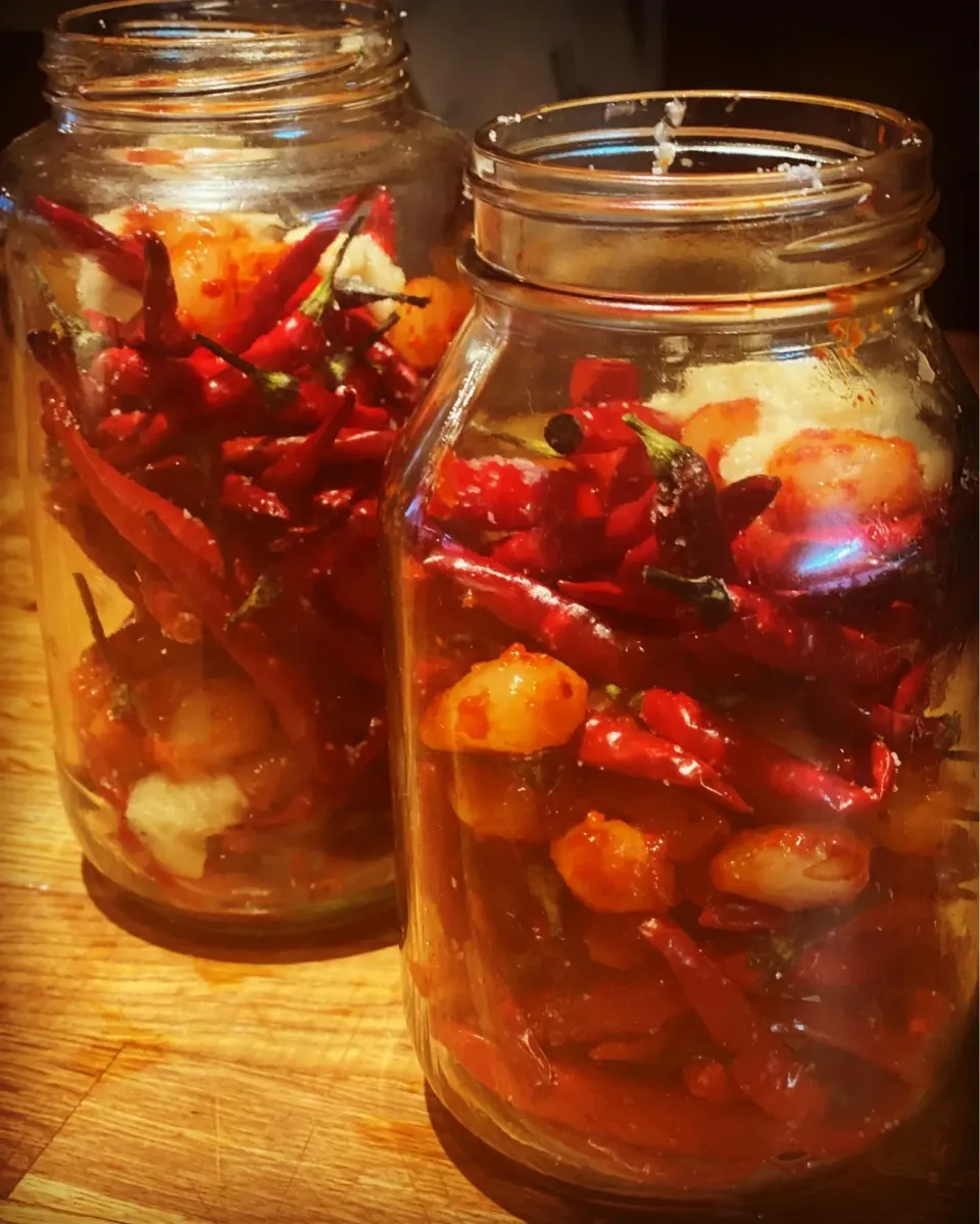 🥵 #hot 🥵 #hot 
Homemade hot sauce with fresh Chili from Okinawa 
Ginger , Garlic , Kimchi season buttons onions soaking in cider vinegar for about a weeks tim|Emanuel Hayashiさん