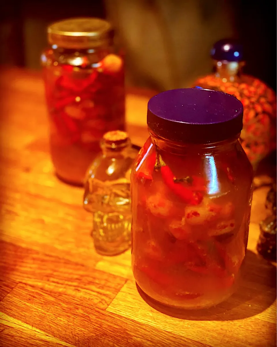 Snapdishの料理写真:🥵 #hot 🥵 #hot 
Homemade hot sauce with fresh Chili from Okinawa 
Ginger , Garlic , Kimchi season buttons onions soaking in cider vinegar for about a weeks tim|Emanuel Hayashiさん